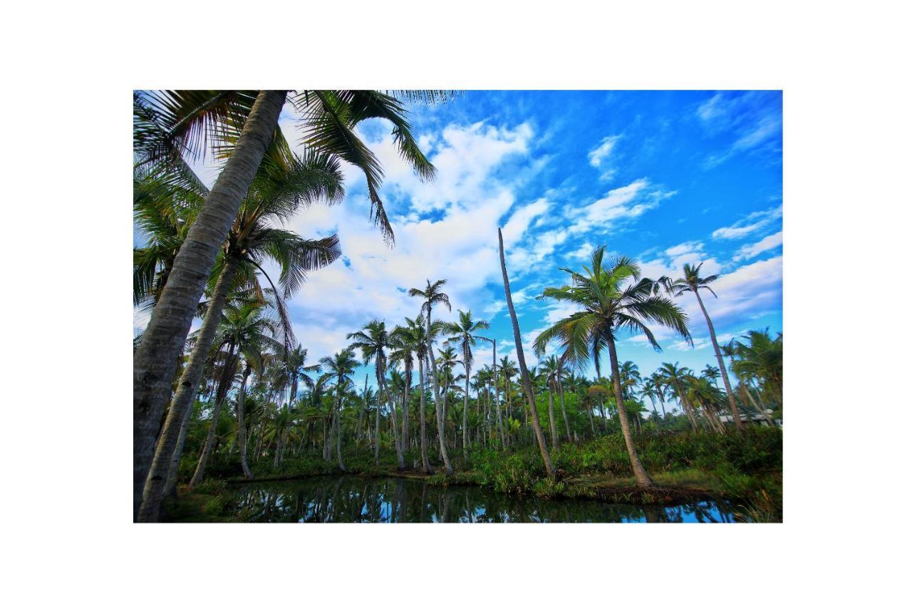 Апартаменты Munroe Paradise Munroe Island Экстерьер фото